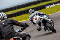 PJ-Motorsport-2019;anglesey-no-limits-trackday;anglesey-photographs;anglesey-trackday-photographs;enduro-digital-images;event-digital-images;eventdigitalimages;no-limits-trackdays;peter-wileman-photography;racing-digital-images;trac-mon;trackday-digital-images;trackday-photos;ty-croes